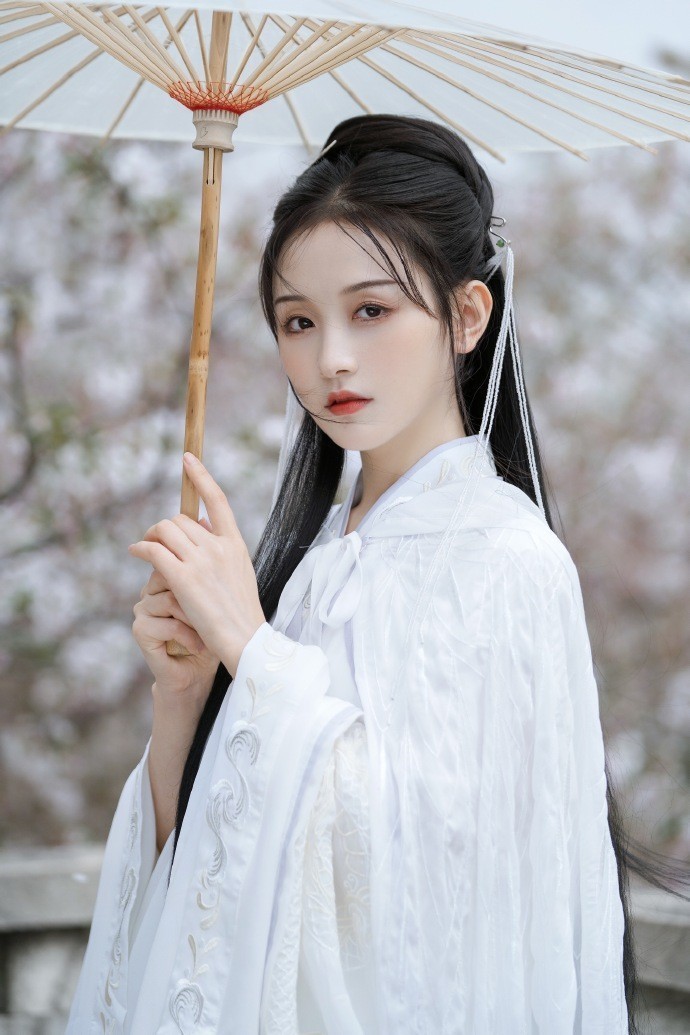 龙猫